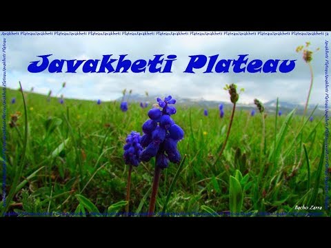 Javakheti Plateau, ჯავახეთის ზეგანი